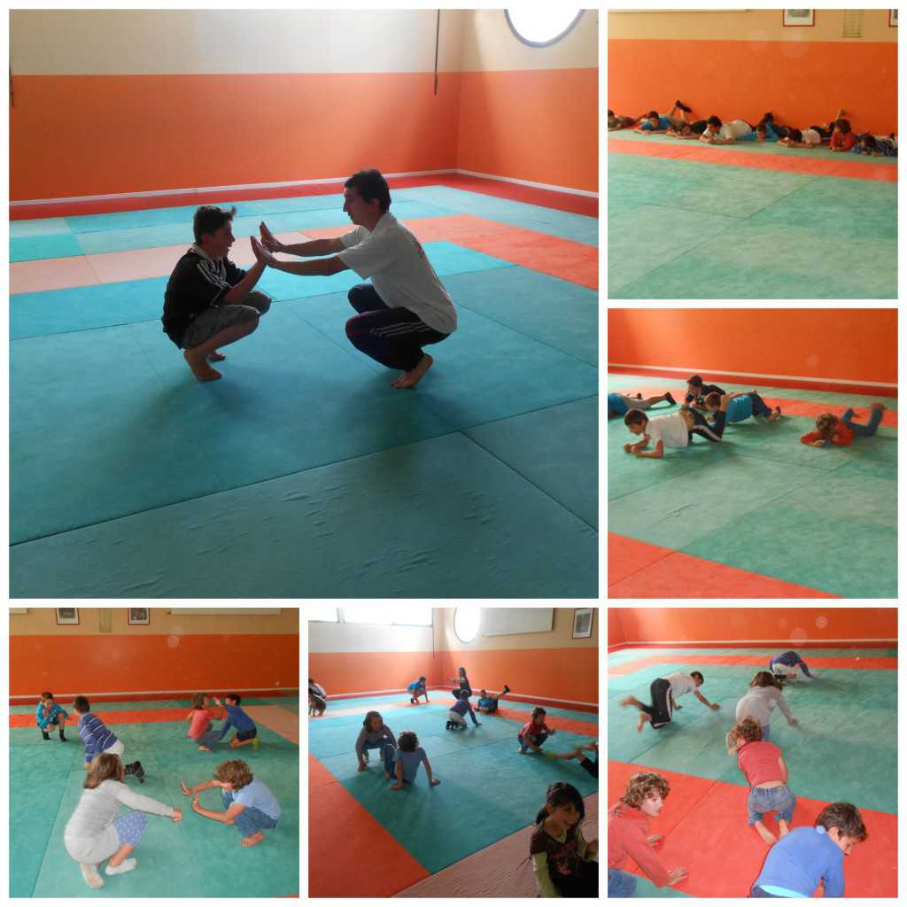 PicMonkey Collage judo 3